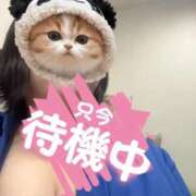 ヒメ日記 2026/08/03 13:58 投稿 くるみ 熟女の風俗最終章 沼津店