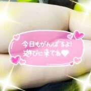 ヒメ日記 2026/08/08 16:08 投稿 くるみ 熟女の風俗最終章 沼津店