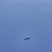 ヒメ日記 2026/04/29 07:20 投稿 しのあ 電車ごっこ