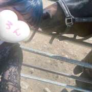 ろん イケメン牧場🦙 上野ハンドメイド