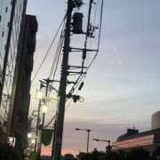 ヒメ日記 2026/06/08 07:29 投稿 はな アレグリア