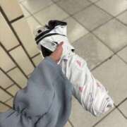 ヒメ日記 2026/07/20 07:40 投稿 はな アレグリア