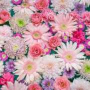 ヒメ日記 2026/04/30 19:15 投稿 里見 人妻風俗チャンネル