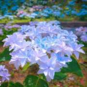 ヒメ日記 2026/06/03 07:28 投稿 里見 人妻風俗チャンネル