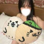 ヒメ日記 2026/09/07 03:54 投稿 あいり それいけ！ヤリスギ学園～舐めたくてグループ横浜校～