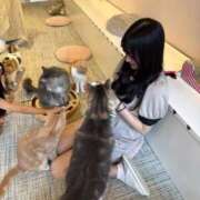 甘井　もなか よろしくです🍀 アムアージュ