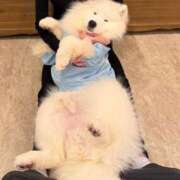 ヒメ日記 2026/04/24 15:33 投稿 東雲　シュナ 雫(しずく)