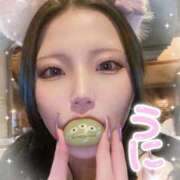 ヒメ日記 2026/04/27 22:04 投稿 うに Masquerade(マスカレード)