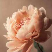 ♡ぼたん先生♡ 本日 梅田ムチぽよ女学院