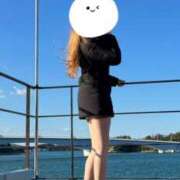 ヒメ日記 2026/04/19 18:03 投稿 れの ルーフ福井