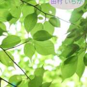 ヒメ日記 2026/05/19 21:03 投稿 田村　いちか 30・40・50代☆人妻熟女コレクション