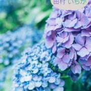 ヒメ日記 2026/06/04 21:01 投稿 田村　いちか 30・40・50代☆人妻熟女コレクション