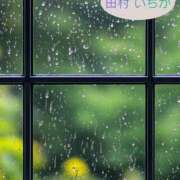 ヒメ日記 2026/06/05 21:00 投稿 田村　いちか 30・40・50代☆人妻熟女コレクション