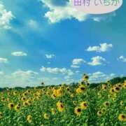 ヒメ日記 2026/07/12 21:00 投稿 田村　いちか 30・40・50代☆人妻熟女コレクション
