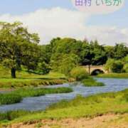 ヒメ日記 2026/08/13 21:00 投稿 田村　いちか 30・40・50代☆人妻熟女コレクション