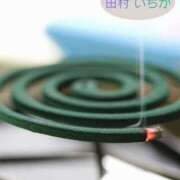 ヒメ日記 2026/08/18 21:00 投稿 田村　いちか 30・40・50代☆人妻熟女コレクション