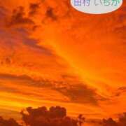 ヒメ日記 2026/08/19 21:00 投稿 田村　いちか 30・40・50代☆人妻熟女コレクション