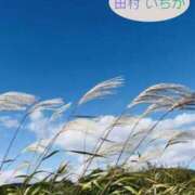ヒメ日記 2026/08/23 21:00 投稿 田村　いちか 30・40・50代☆人妻熟女コレクション