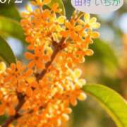 ヒメ日記 2026/10/02 21:00 投稿 田村　いちか 30・40・50代☆人妻熟女コレクション
