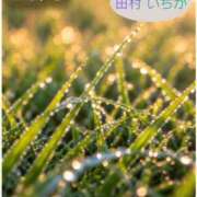 ヒメ日記 2026/10/08 21:00 投稿 田村　いちか 30・40・50代☆人妻熟女コレクション