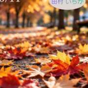 ヒメ日記 2026/10/11 21:01 投稿 田村　いちか 30・40・50代☆人妻熟女コレクション