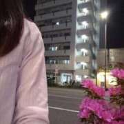 ヒメ日記 2026/04/23 07:14 投稿 つつじ 丸妻 横浜本店