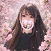 ヒメ日記 2026/05/14 12:05 投稿 せいら♡この子只者じゃない 富山で超絶可愛いコスパ最強激安デリヘル・モッコリ高岡店