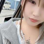 ヒメ日記 2026/06/06 14:45 投稿 せいら♡この子只者じゃない 富山で超絶可愛いコスパ最強激安デリヘル・モッコリ高岡店