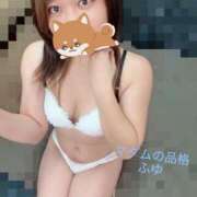 ふゆ すずしいー マダムの品格