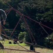 ヒメ日記 2026/04/25 14:04 投稿 のどか ふわふわコレクション
