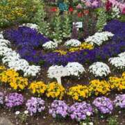 ヒメ日記 2026/04/23 01:24 投稿 ちえ 小山人妻隊