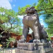ヒメ日記 2026/07/07 08:41 投稿 ちえ 小山人妻隊