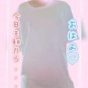 ヒメ日記 2026/08/07 06:28 投稿 ナツ 煌-kirameki-
