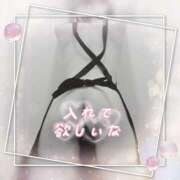 ヒメ日記 2026/09/15 18:21 投稿 ナツ 煌-kirameki-