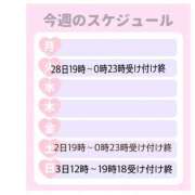 ヒメ日記 2026/04/27 08:00 投稿 あまね 栃木小山ちゃんこ