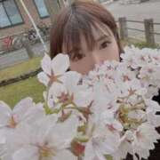 ヒメ日記 2026/04/24 10:25 投稿 るい High Quality デリバリーヘルス Platinum Club