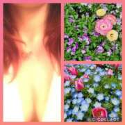 ヒメ日記 2026/04/22 05:42 投稿 花澄（かすみ） 熟女の風俗最終章 名古屋店