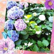 ヒメ日記 2026/05/08 07:22 投稿 花澄（かすみ） 熟女の風俗最終章 名古屋店