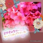 ヒメ日記 2026/05/22 23:22 投稿 花澄（かすみ） 熟女の風俗最終章 名古屋店