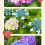 ヒメ日記 2026/05/25 07:12 投稿 花澄（かすみ） 熟女の風俗最終章 名古屋店