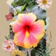 ヒメ日記 2026/05/26 07:22 投稿 花澄（かすみ） 熟女の風俗最終章 名古屋店