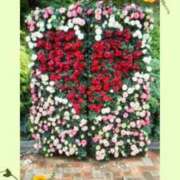 ヒメ日記 2026/05/27 09:22 投稿 花澄（かすみ） 熟女の風俗最終章 名古屋店