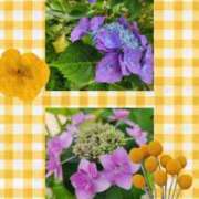 ヒメ日記 2026/06/05 09:52 投稿 花澄（かすみ） 熟女の風俗最終章 名古屋店