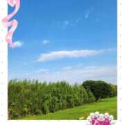 ヒメ日記 2026/06/12 06:52 投稿 花澄（かすみ） 熟女の風俗最終章 名古屋店