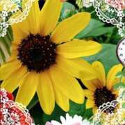 ヒメ日記 2026/06/22 07:03 投稿 花澄（かすみ） 熟女の風俗最終章 名古屋店