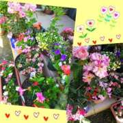 ヒメ日記 2026/06/23 07:22 投稿 花澄（かすみ） 熟女の風俗最終章 名古屋店