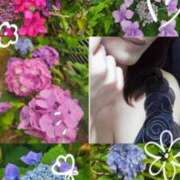 ヒメ日記 2026/06/24 07:12 投稿 花澄（かすみ） 熟女の風俗最終章 名古屋店