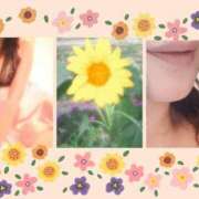 ヒメ日記 2026/08/08 07:22 投稿 花澄（かすみ） 熟女の風俗最終章 名古屋店