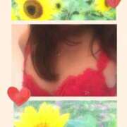 ヒメ日記 2026/08/11 07:02 投稿 花澄（かすみ） 熟女の風俗最終章 名古屋店