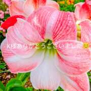 ヒメ日記 2026/05/15 20:50 投稿 神田ちさと 五十路マダム　和歌山店